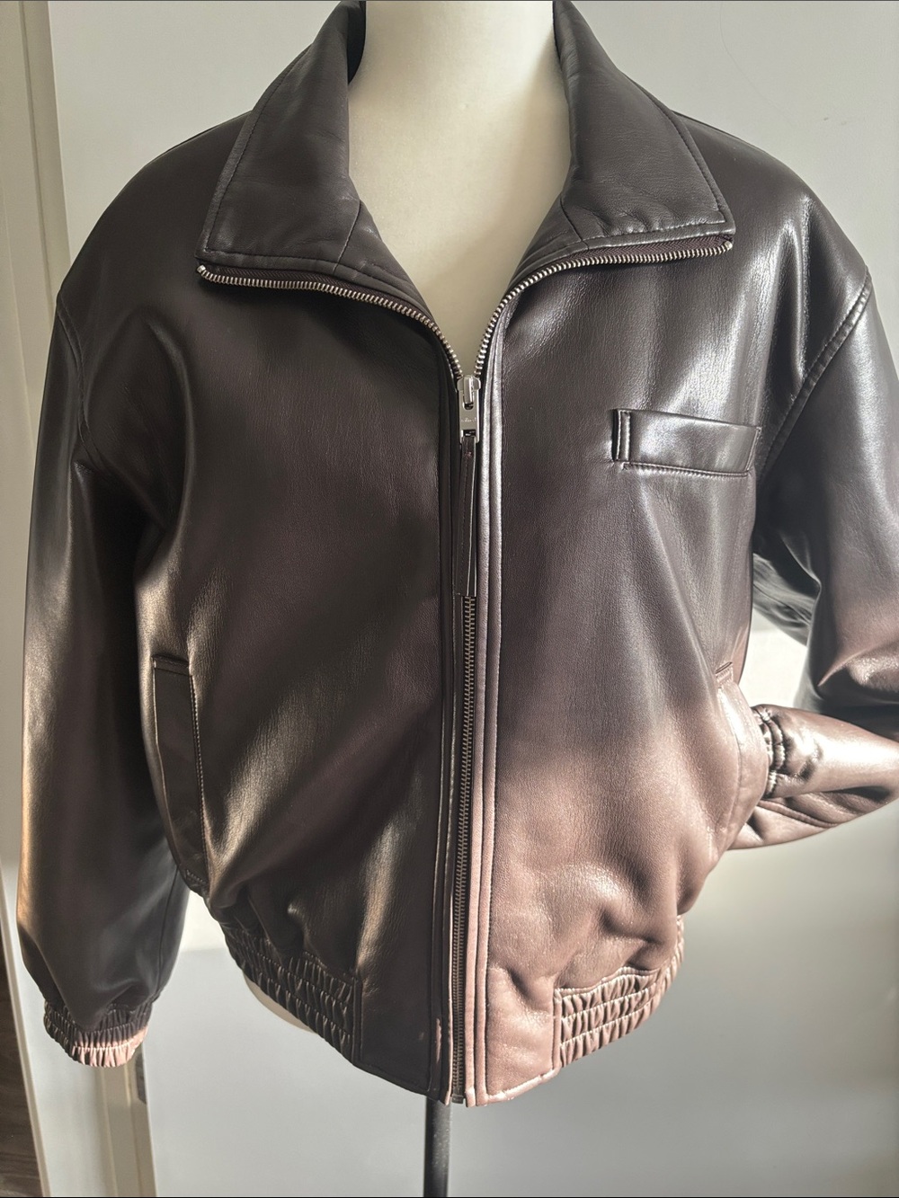 Wilfred Aritzia unreal leather bomber